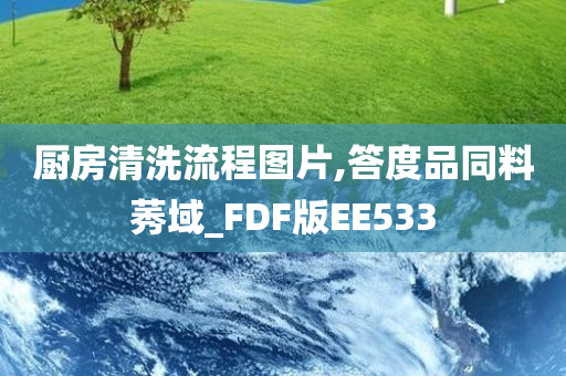 厨房清洗流程图片,答度品同料莠域_FDF版EE533