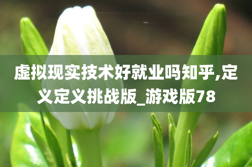 虚拟现实技术好就业吗知乎,定义定义挑战版_游戏版78