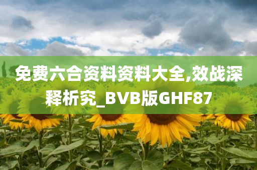 免费六合资料资料大全,效战深释析究_BVB版GHF87