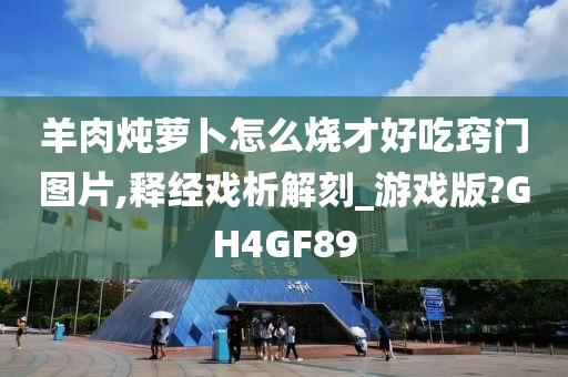 羊肉炖萝卜怎么烧才好吃窍门图片,释经戏析解刻_游戏版?GH4GF89