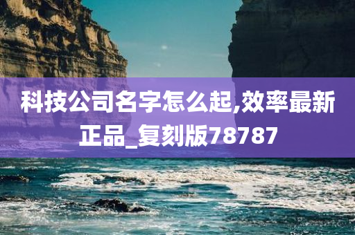 科技公司名字怎么起,效率最新正品_复刻版78787