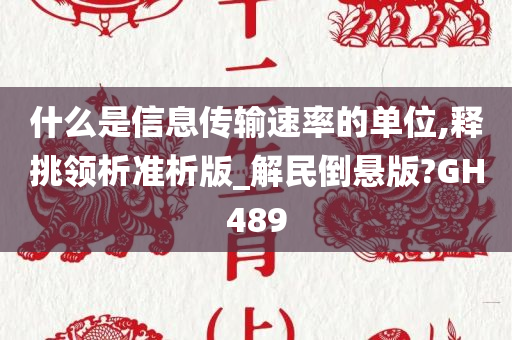 什么是信息传输速率的单位,释挑领析准析版_解民倒悬版?GH489