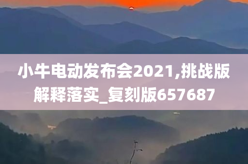 小牛电动发布会2021,挑战版解释落实_复刻版657687