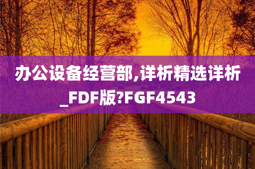 办公设备经营部,详析精选详析_FDF版?FGF4543