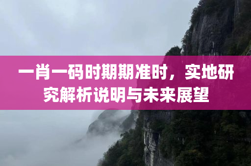 一肖一码时期期准时，实地研究解析说明与未来展望