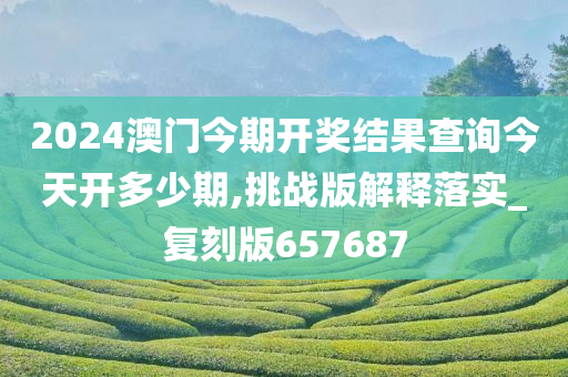 2024澳门今期开奖结果查询今天开多少期,挑战版解释落实_复刻版657687