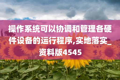 操作系统可以协调和管理各硬件设备的运行程序,实地落实_资料版4545