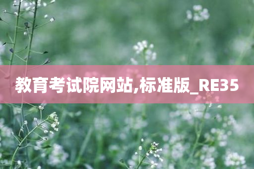 教育考试院网站,标准版_RE35