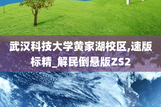 武汉科技大学黄家湖校区,速版标精_解民倒悬版ZS2