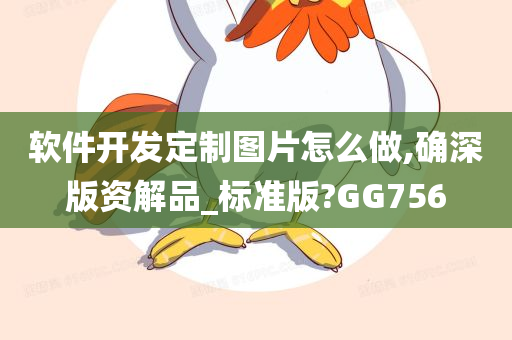 软件开发定制图片怎么做,确深版资解品_标准版?GG756