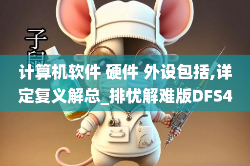 计算机软件 硬件 外设包括,详定复义解总_排忧解难版DFS4