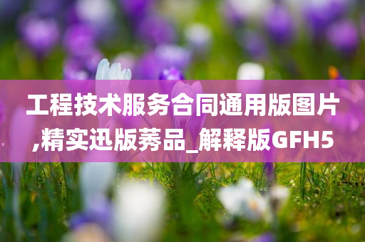 工程技术服务合同通用版图片,精实迅版莠品_解释版GFH5