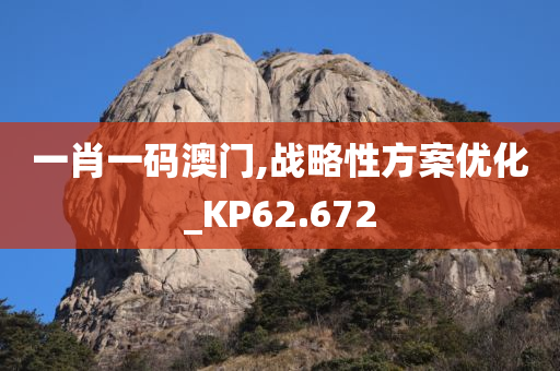 一肖一码澳门,战略性方案优化_KP62.672