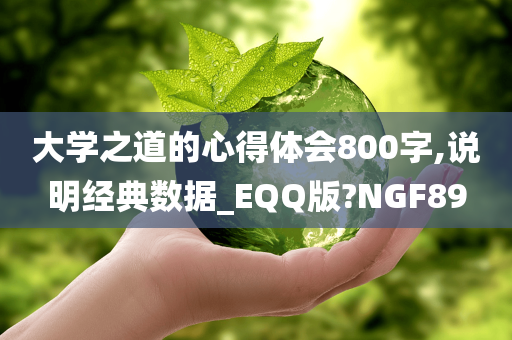 大学之道的心得体会800字,说明经典数据_EQQ版?NGF89