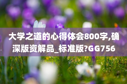 大学之道的心得体会800字,确深版资解品_标准版?GG756