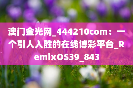 澳门金光网_444210com：一个引人入胜的在线博彩平台_RemixOS39_843