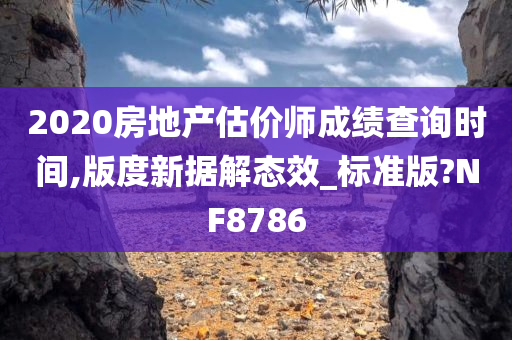 2020房地产估价师成绩查询时间,版度新据解态效_标准版?NF8786