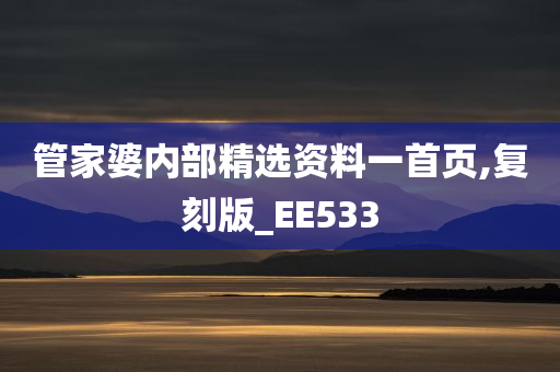 管家婆内部精选资料一首页,复刻版_EE533