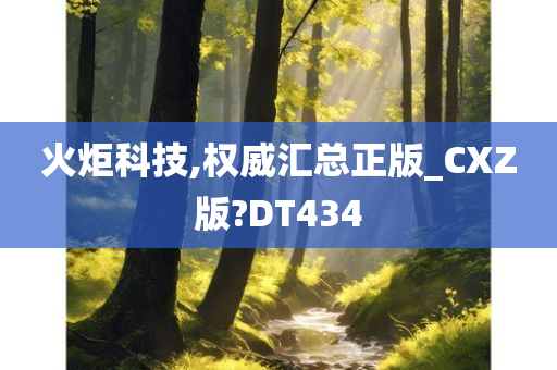 火炬科技,权威汇总正版_CXZ版?DT434