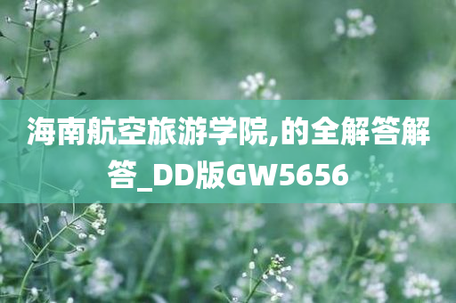 海南航空旅游学院,的全解答解答_DD版GW5656