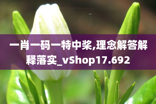 一肖一码一特中桨,理念解答解释落实_vShop17.692