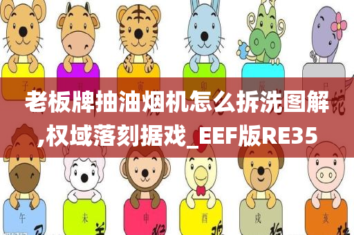 老板牌抽油烟机怎么拆洗图解,权域落刻据戏_EEF版RE35