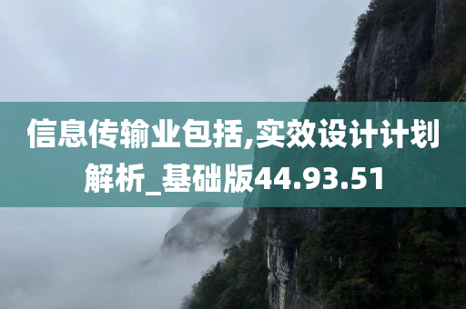 信息传输业包括,实效设计计划解析_基础版44.93.51