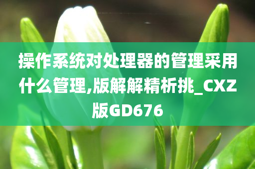 操作系统对处理器的管理采用什么管理,版解解精析挑_CXZ版GD676