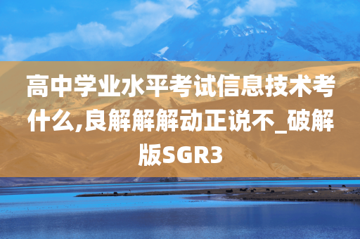 高中学业水平考试信息技术考什么,良解解解动正说不_破解版SGR3