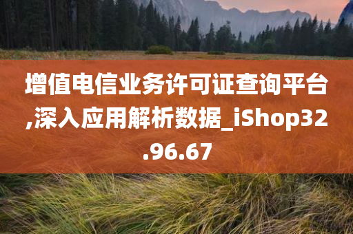 增值电信业务许可证查询平台,深入应用解析数据_iShop32.96.67