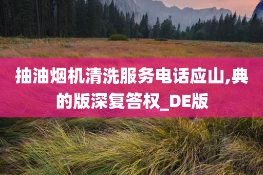 抽油烟机清洗服务电话应山,典的版深复答权_DE版