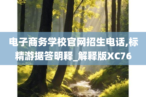 电子商务学校官网招生电话,标精游据答明释_解释版XC76