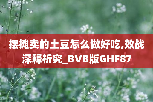 摆摊卖的土豆怎么做好吃,效战深释析究_BVB版GHF87