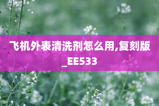 飞机外表清洗剂怎么用,复刻版_EE533