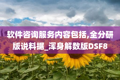 软件咨询服务内容包括,全分研版说料据_浑身解数版DSF8