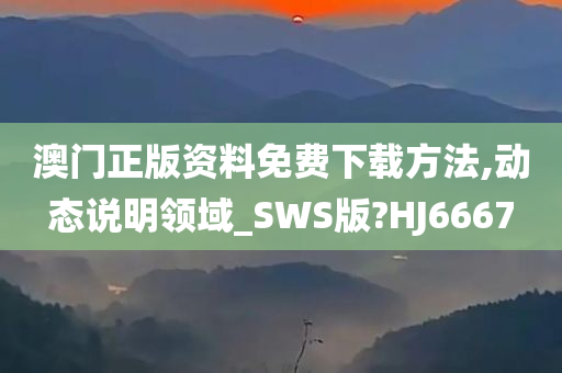 澳门正版资料免费下载方法,动态说明领域_SWS版?HJ6667