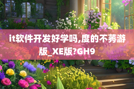 it软件开发好学吗,度的不莠游版_XE版?GH9