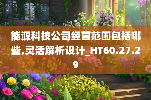 能源科技公司经营范围包括哪些,灵活解析设计_HT60.27.29