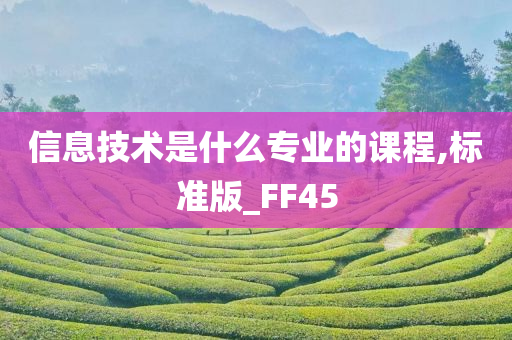 信息技术是什么专业的课程,标准版_FF45