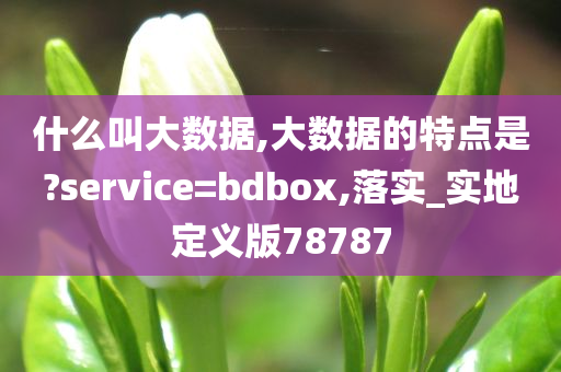 什么叫大数据,大数据的特点是?service=bdbox,落实_实地定义版78787