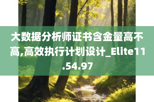 大数据分析师证书含金量高不高,高效执行计划设计_Elite11.54.97