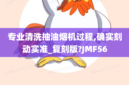 专业清洗抽油烟机过程,确实刻动实准_复刻版?JMF56