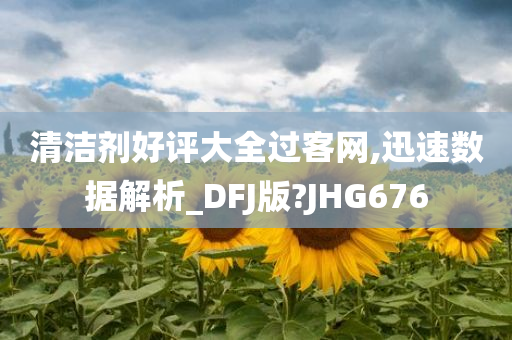 清洁剂好评大全过客网,迅速数据解析_DFJ版?JHG676