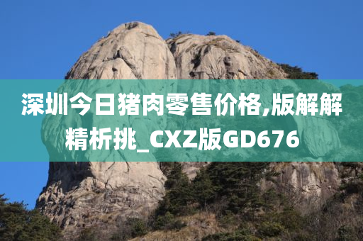 深圳今日猪肉零售价格,版解解精析挑_CXZ版GD676