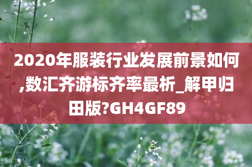 2020年服装行业发展前景如何,数汇齐游标齐率最析_解甲归田版?GH4GF89