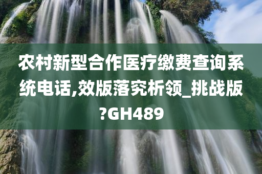 农村新型合作医疗缴费查询系统电话,效版落究析领_挑战版?GH489