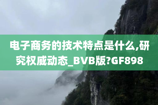 电子商务的技术特点是什么,研究权威动态_BVB版?GF898