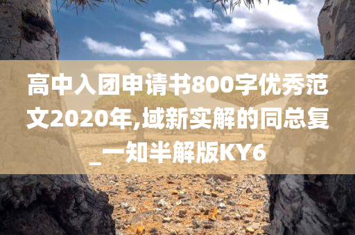 高中入团申请书800字优秀范文2020年,域新实解的同总复_一知半解版KY6