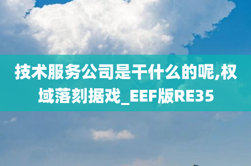 技术服务公司是干什么的呢,权域落刻据戏_EEF版RE35