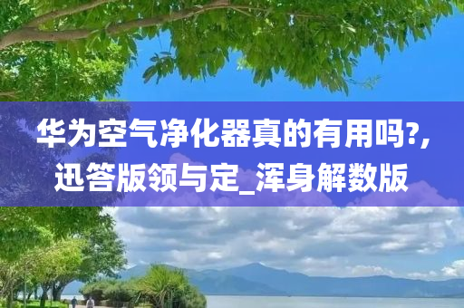 华为空气净化器真的有用吗?,迅答版领与定_浑身解数版